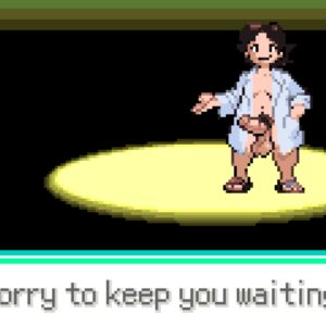 Play Pokemon Anthro Emerald Version by Anthro Emerald